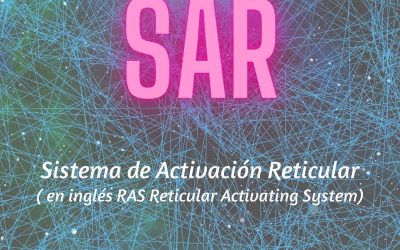 Sistema de Activación Reticular